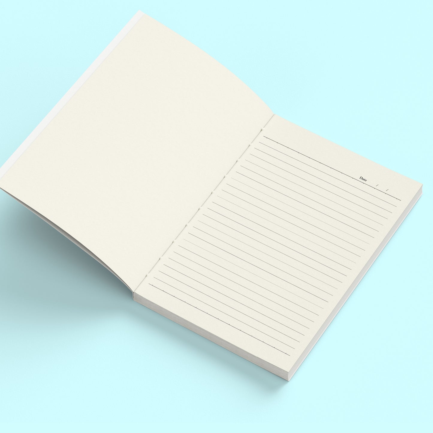 Daily Journal
